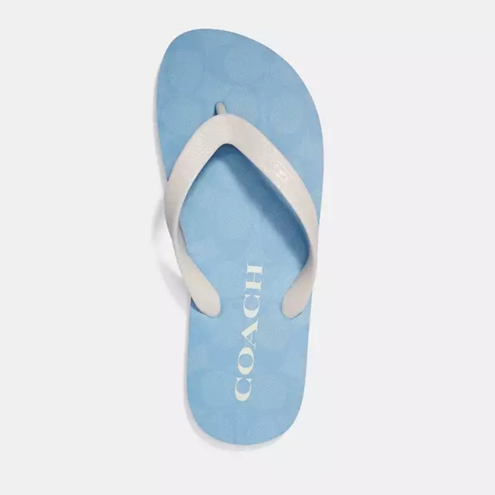 New! Zak Flip Flop in Chambray